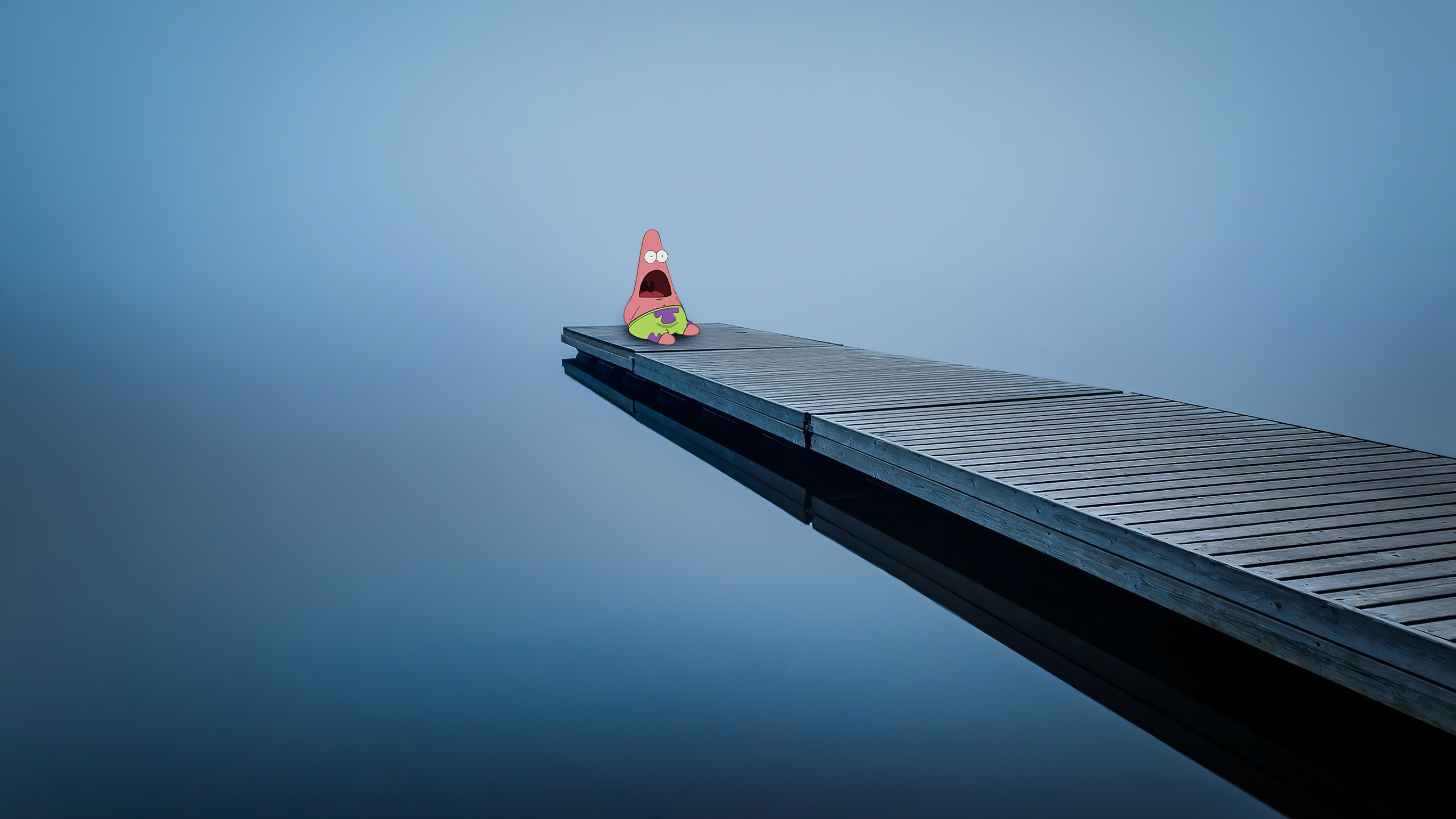 Patrick L'Étoile, Bob L'Éponge, Calamar, Cartoon, Bâtiment. Wallpaper in 2560x1440 Resolution