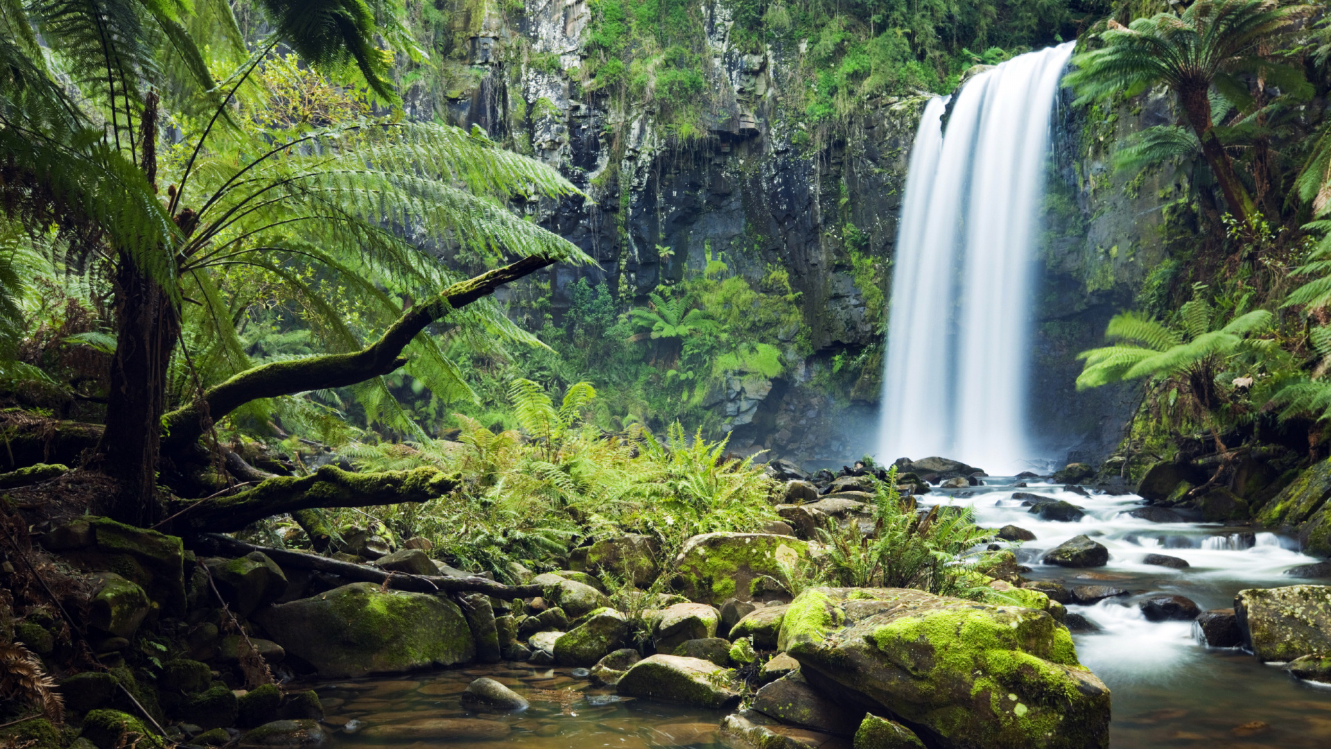 Green Moss on Brown Rock Near Waterfalls During Daytime. Wallpaper in 1920x1080 Resolution
