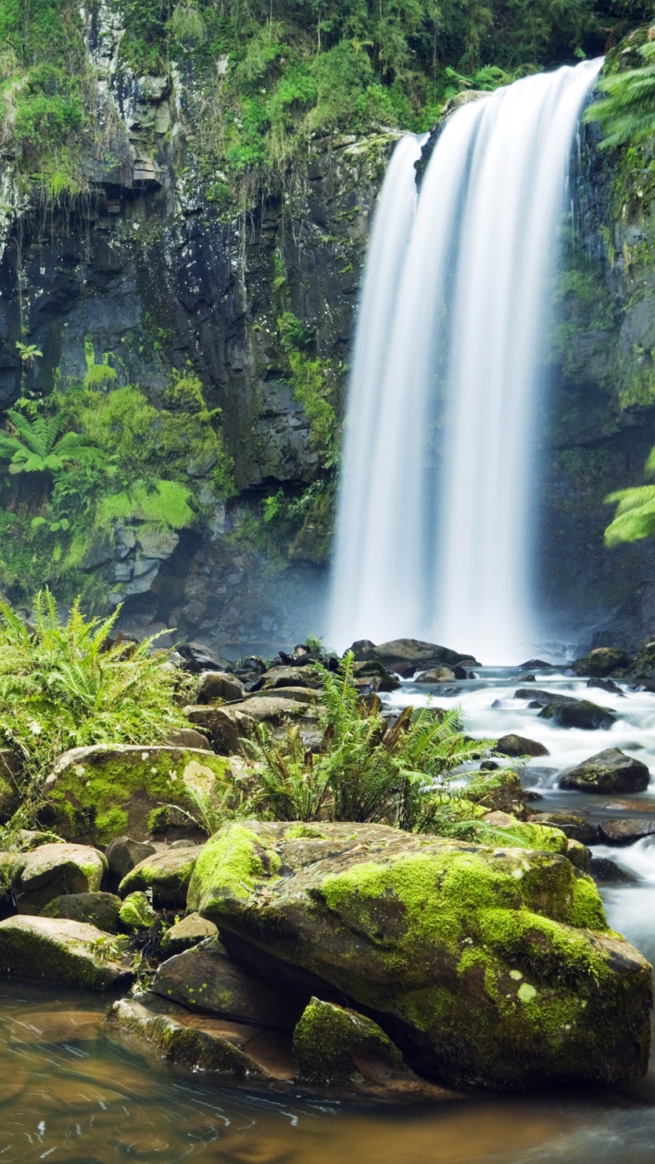 Green Moss on Brown Rock Near Waterfalls During Daytime. Wallpaper in 720x1280 Resolution