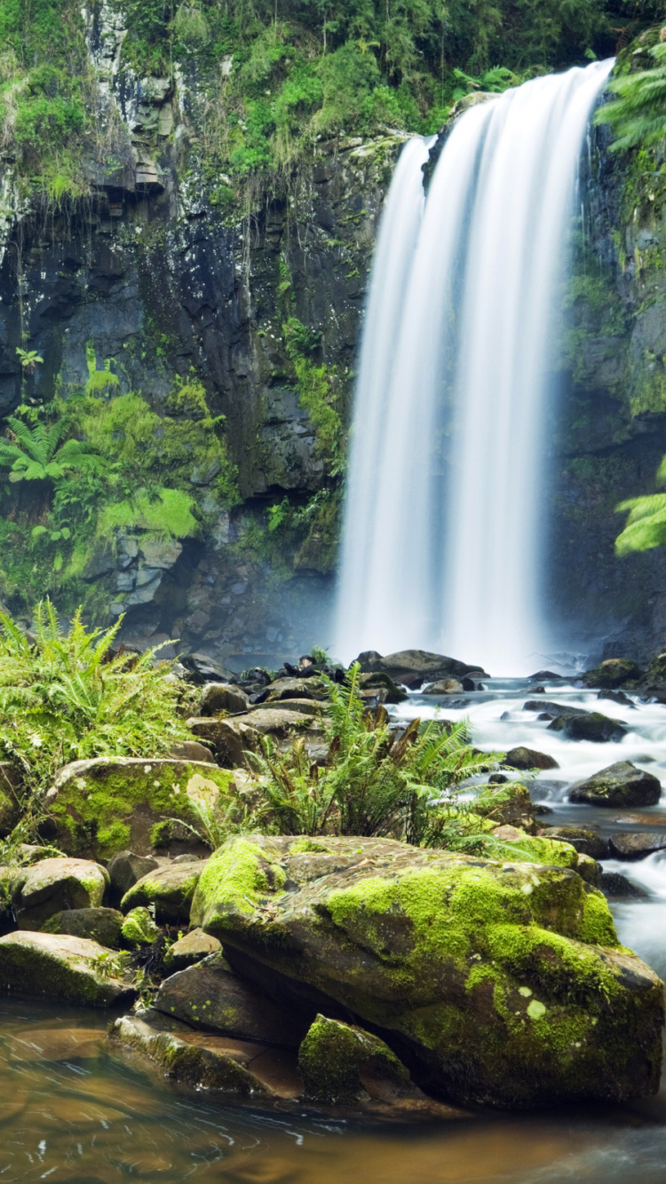 Green Moss on Brown Rock Near Waterfalls During Daytime. Wallpaper in 750x1334 Resolution
