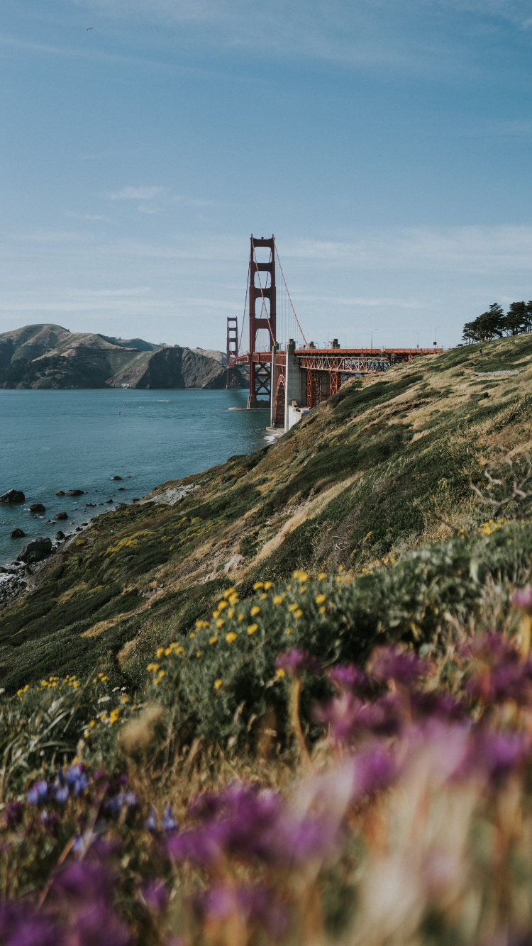 Pont du Golden Gate San Francisco Californie. Wallpaper in 750x1334 Resolution