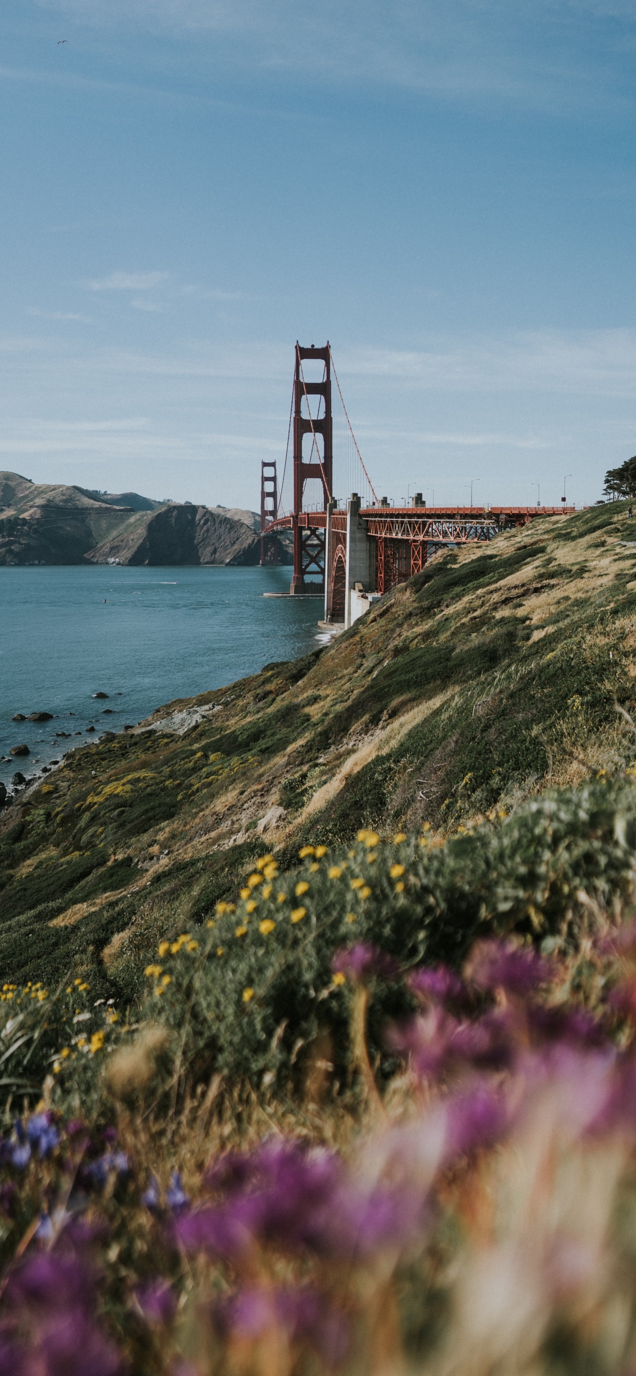 Golden Gate Bridge San Francisco Kalifornien. Wallpaper in 1242x2688 Resolution