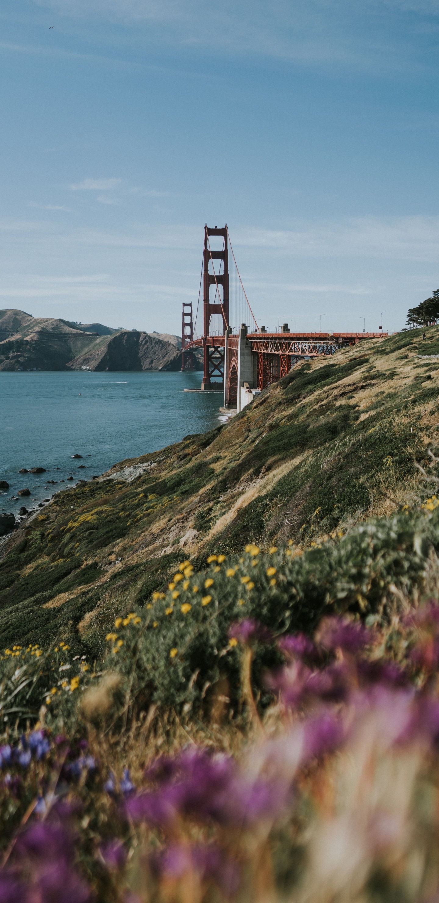 Golden Gate Bridge San Francisco Kalifornien. Wallpaper in 1440x2960 Resolution