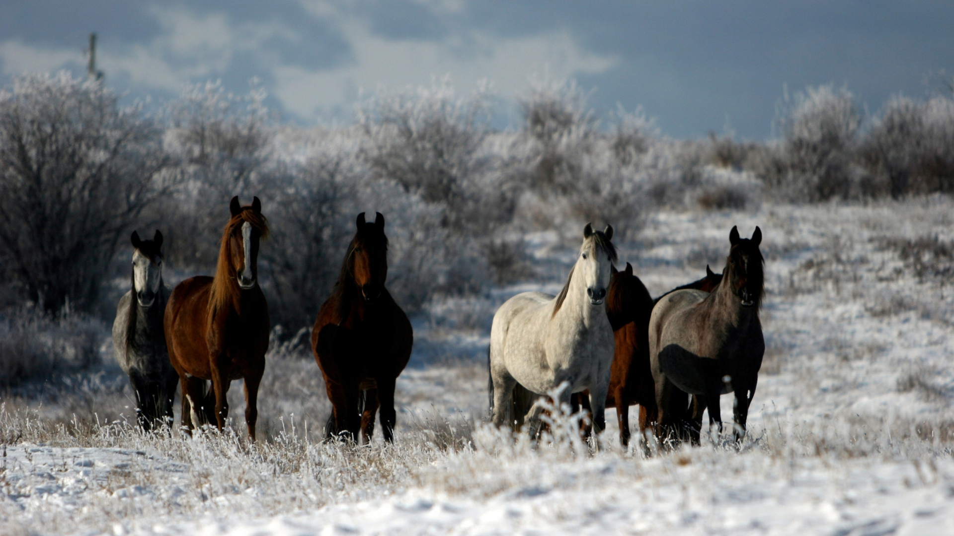 Pavlodar, Aktobe, Nur-sultan, Uralsk, Kazinform. Wallpaper in 1920x1080 Resolution