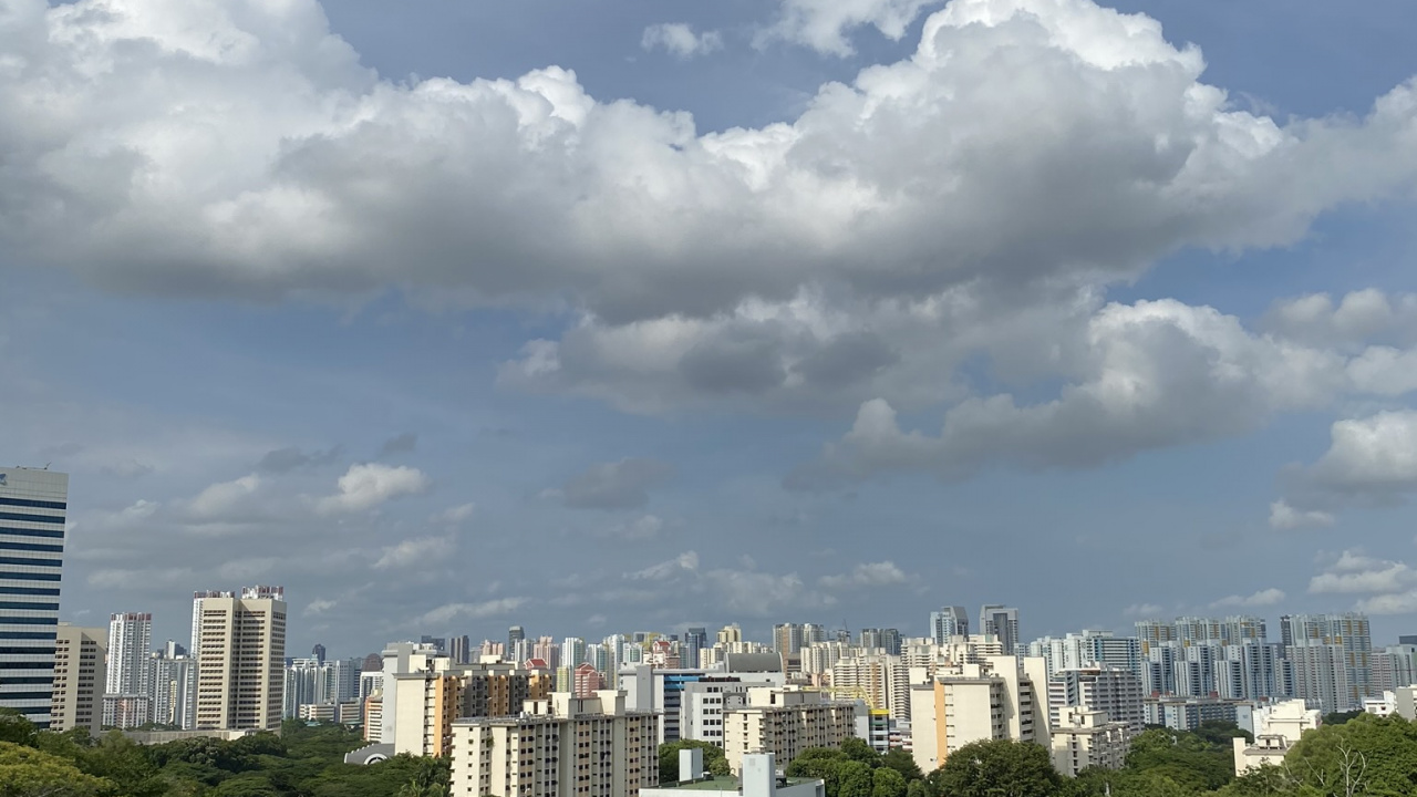 植被, 塔块, 街区, 城市, 大都会 壁纸 1280x720 允许