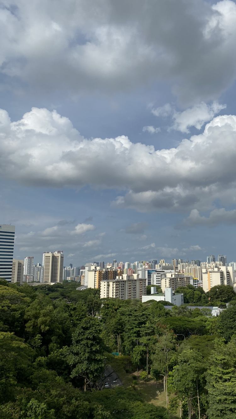 植被, 塔块, 街区, 城市, 大都会 壁纸 750x1334 允许