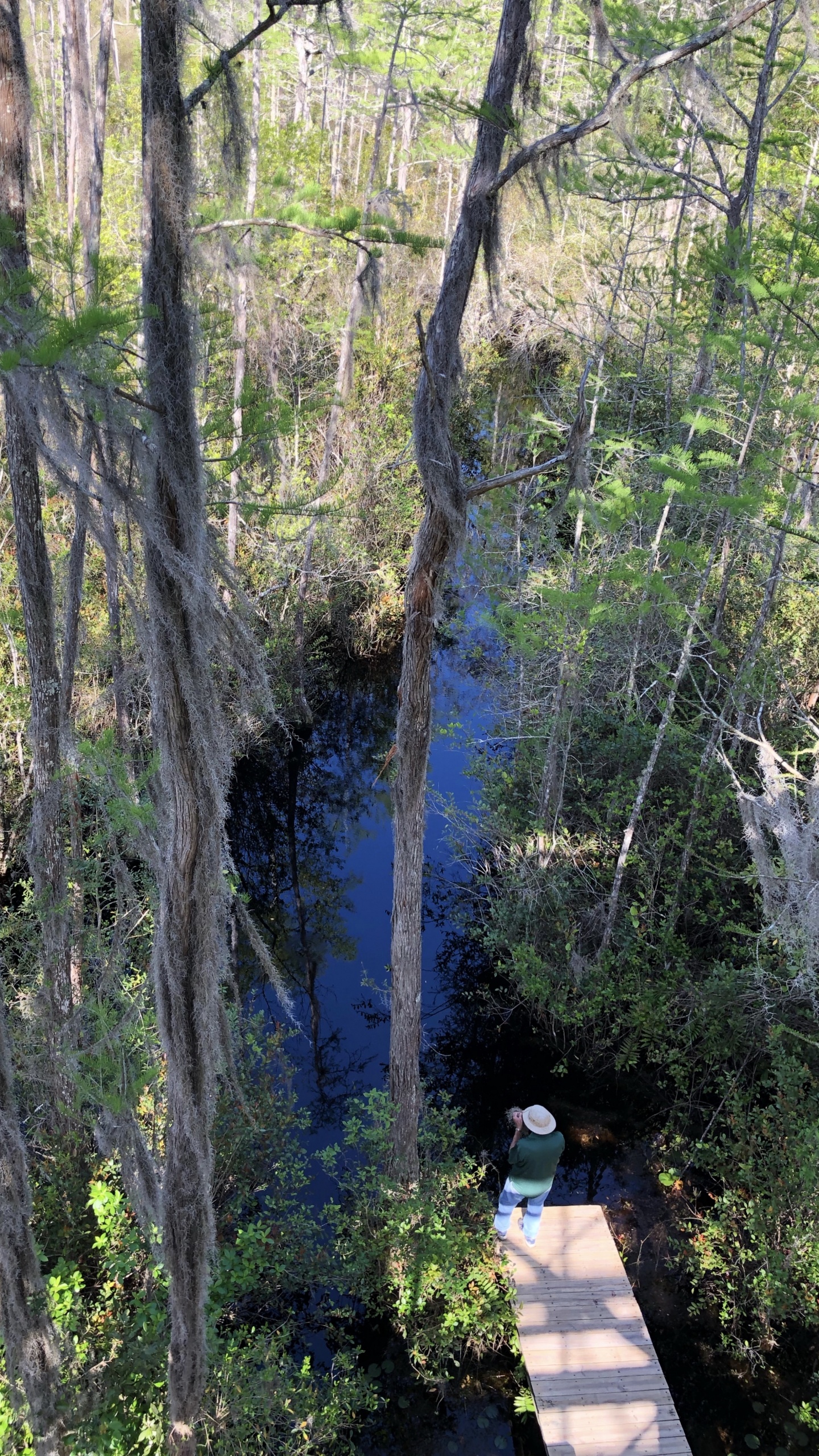 Nature Reserve, Water, Vegetation, Nature, Natural Environment. Wallpaper in 1440x2560 Resolution
