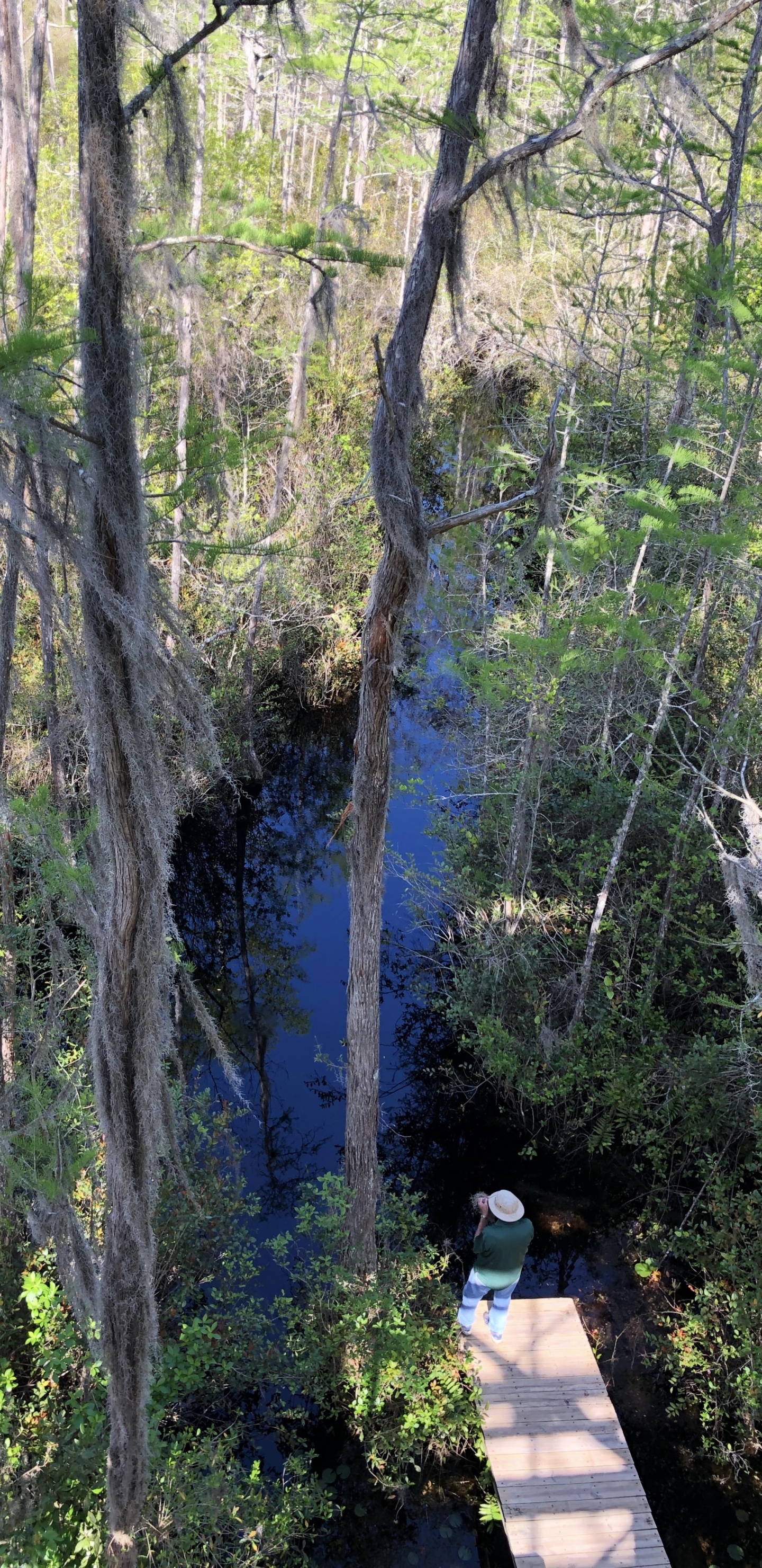 Nature Reserve, Water, Vegetation, Nature, Natural Environment. Wallpaper in 1440x2960 Resolution