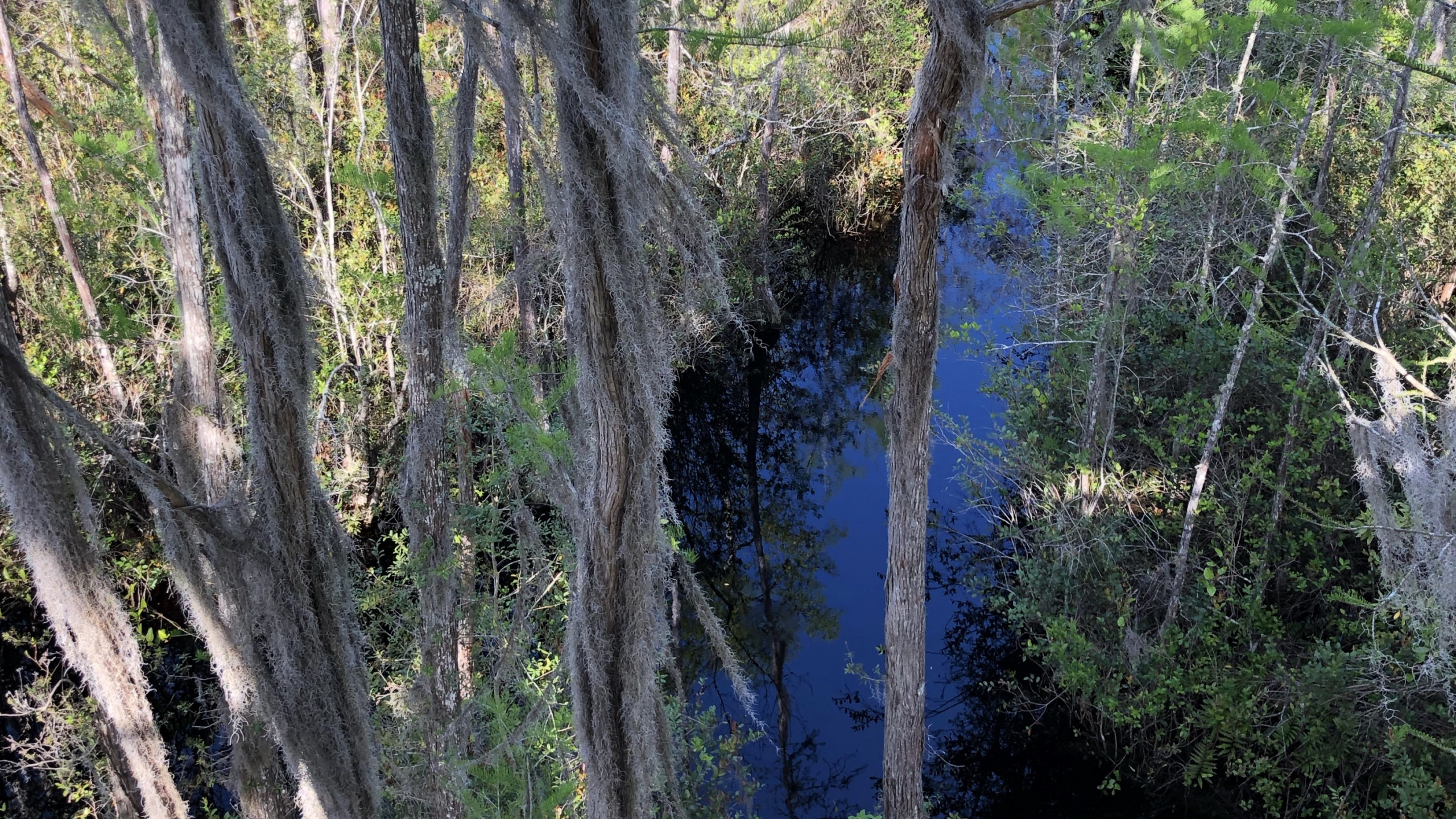 Nature Reserve, Water, Vegetation, Nature, Natural Environment. Wallpaper in 2560x1440 Resolution
