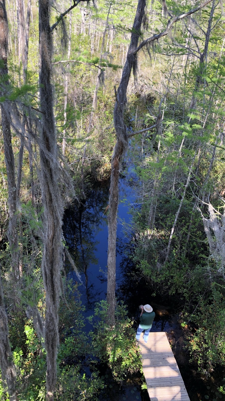 Nature Reserve, Water, Vegetation, Nature, Natural Environment. Wallpaper in 720x1280 Resolution