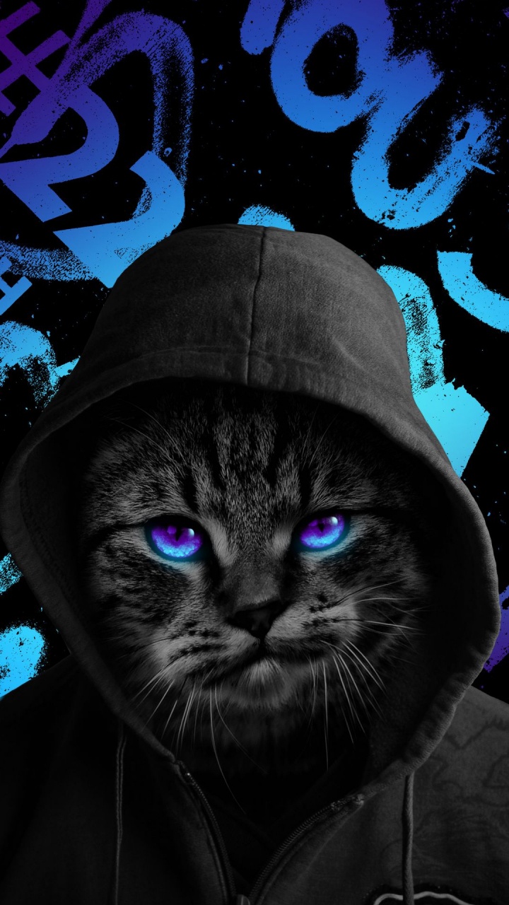 Chat, Chat Noir, Azure, Noir, Felidae. Wallpaper in 720x1280 Resolution
