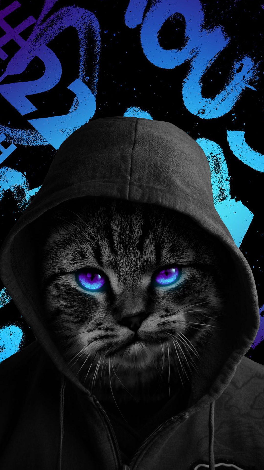 Gato, Gato Negro, Azure, Negro, Felidae. Wallpaper in 1080x1920 Resolution