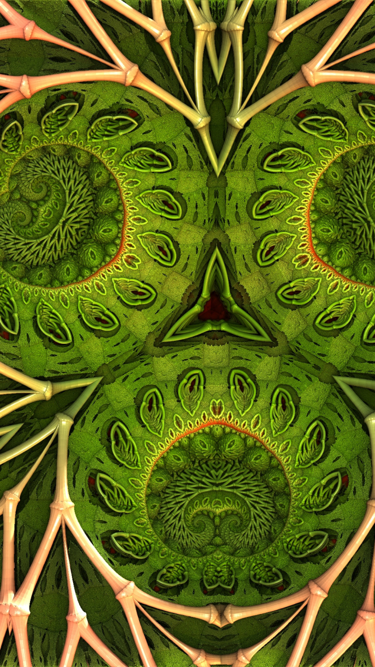 Muster, Blatt, Botanik, Terrestrische Pflanzen, Vegetation. Wallpaper in 750x1334 Resolution