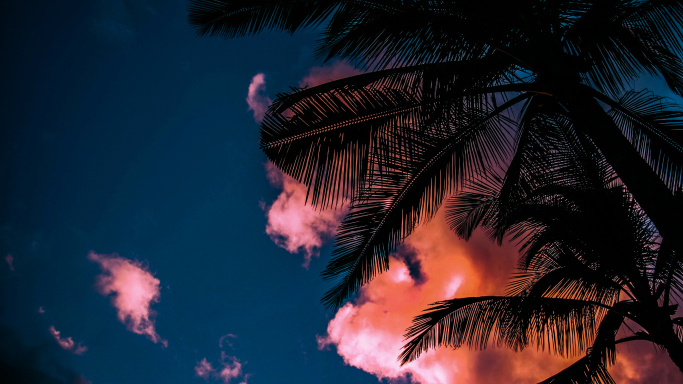 Été, Atmosphère, la Journée, Lumière, Nature. Wallpaper in 1366x768 Resolution