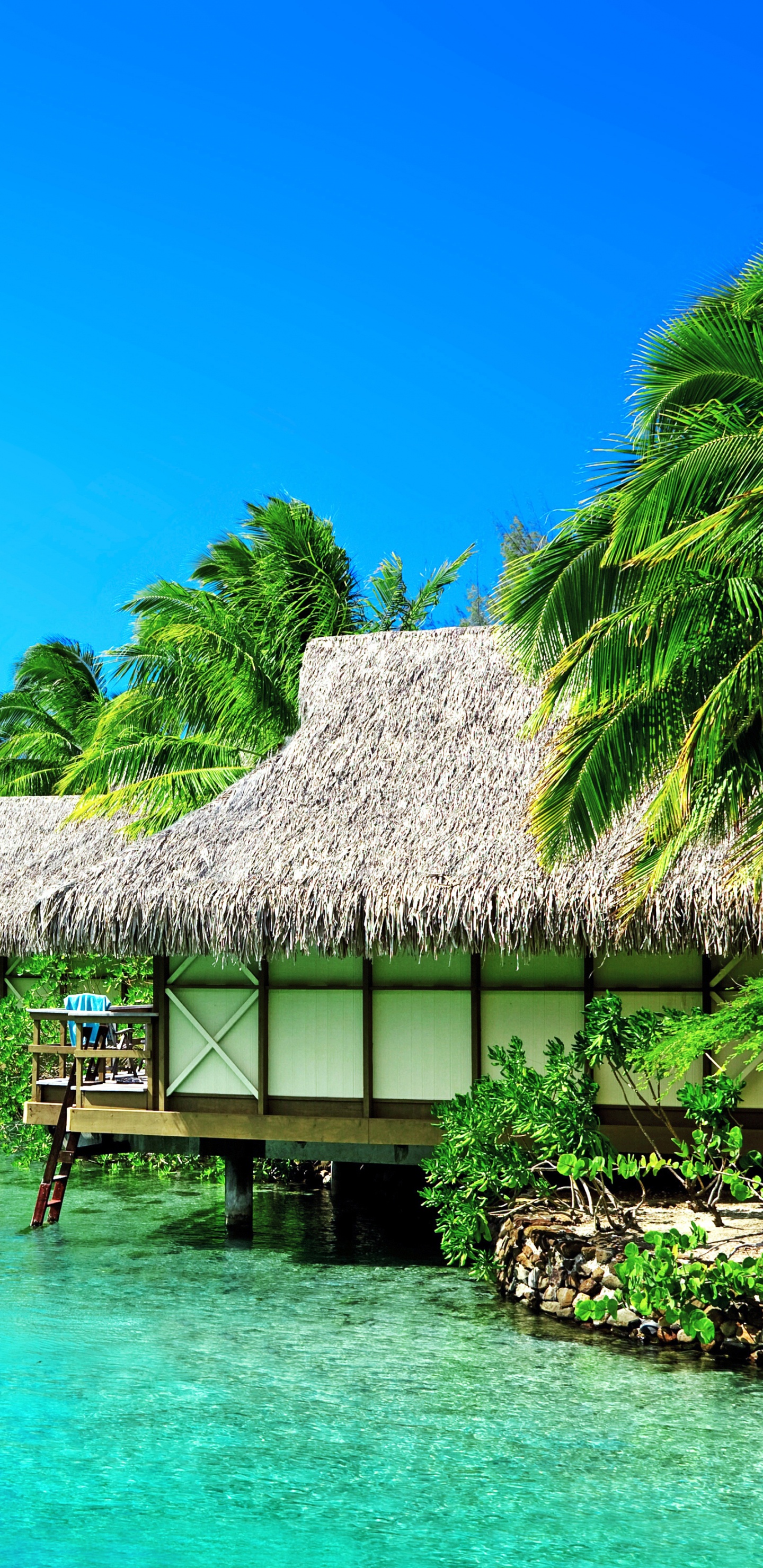 Braunes Holzhaus Auf Grünem Meerwasser Unter Blauem Himmel Tagsüber. Wallpaper in 1440x2960 Resolution