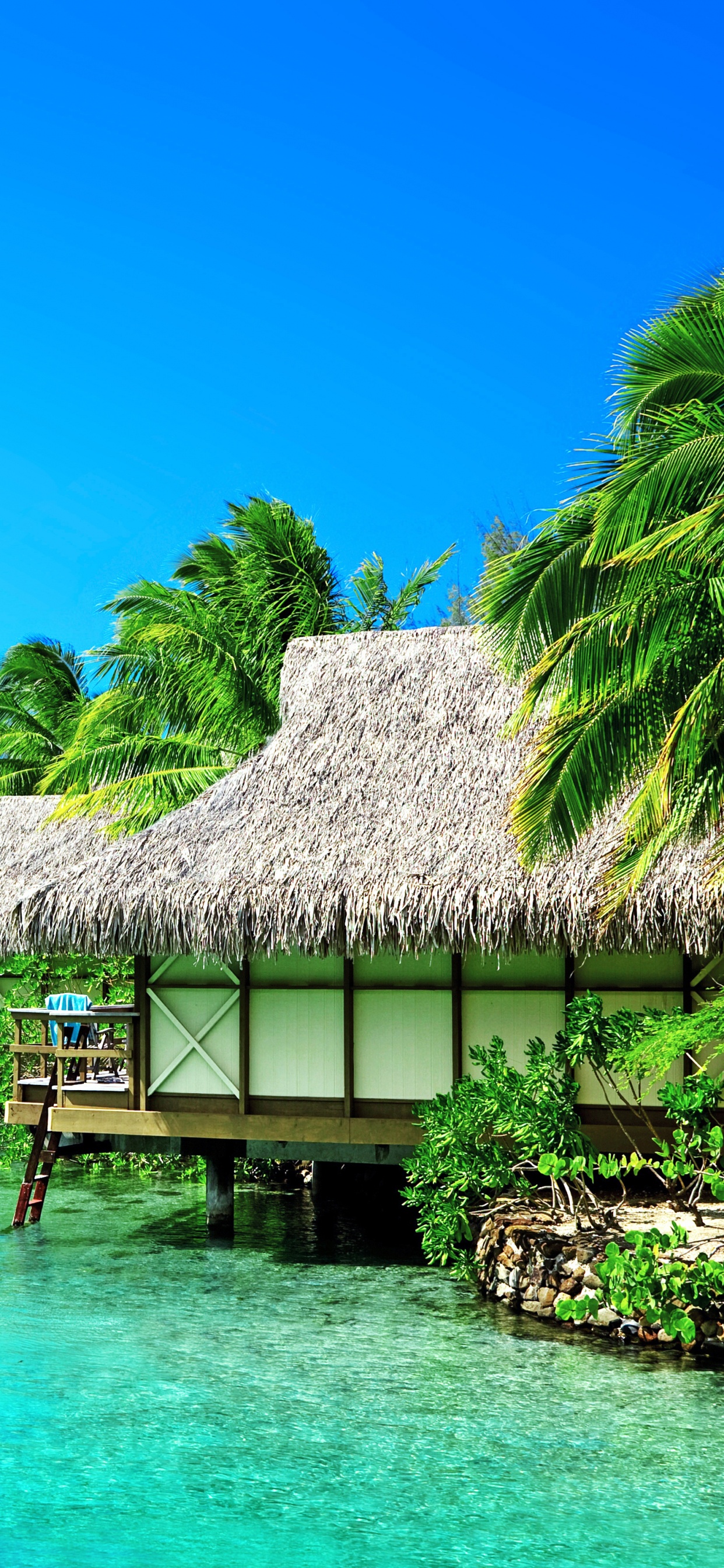 Maison en Bois Marron Sur L'eau de Mer Verte Sous Ciel Bleu Pendant la Journée. Wallpaper in 1242x2688 Resolution