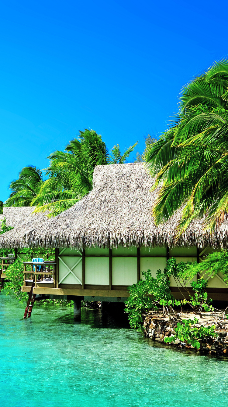 Maison en Bois Marron Sur L'eau de Mer Verte Sous Ciel Bleu Pendant la Journée. Wallpaper in 750x1334 Resolution