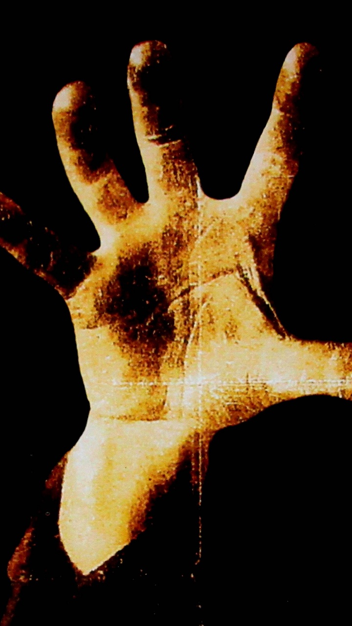 System Of A Down, Alternative Métal, Main, Doigt, L'homme. Wallpaper in 720x1280 Resolution