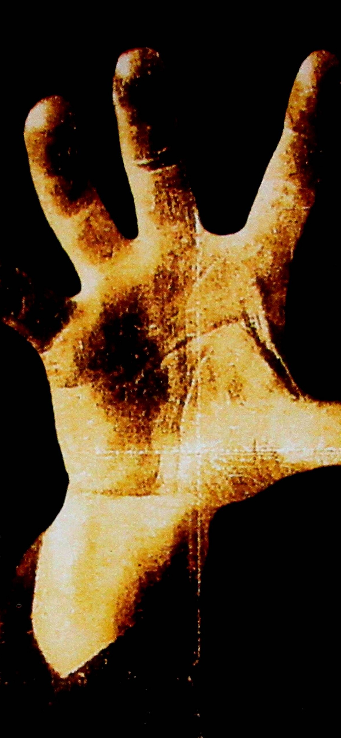 System Of A Down, Alternative Metal, Hand, Finger, Human. Wallpaper in 1125x2436 Resolution