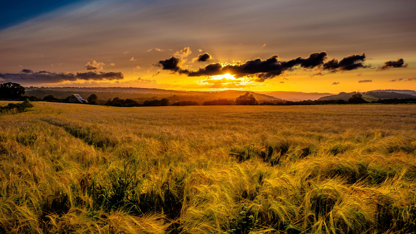 Green Grass Field Under Blue Sky During Daytime. Wallpaper in 1366x768 Resolution