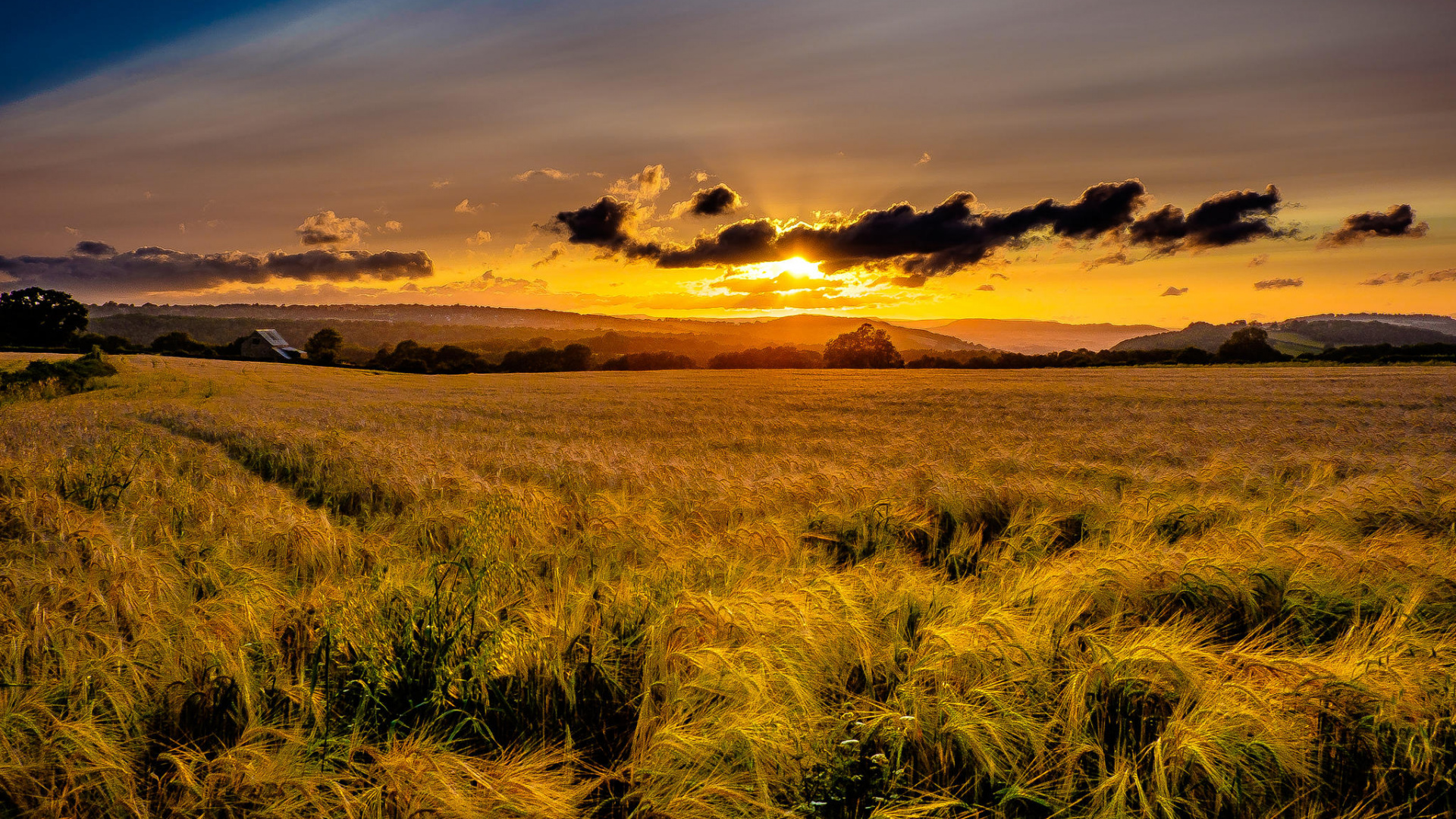 Green Grass Field Under Blue Sky During Daytime. Wallpaper in 1920x1080 Resolution