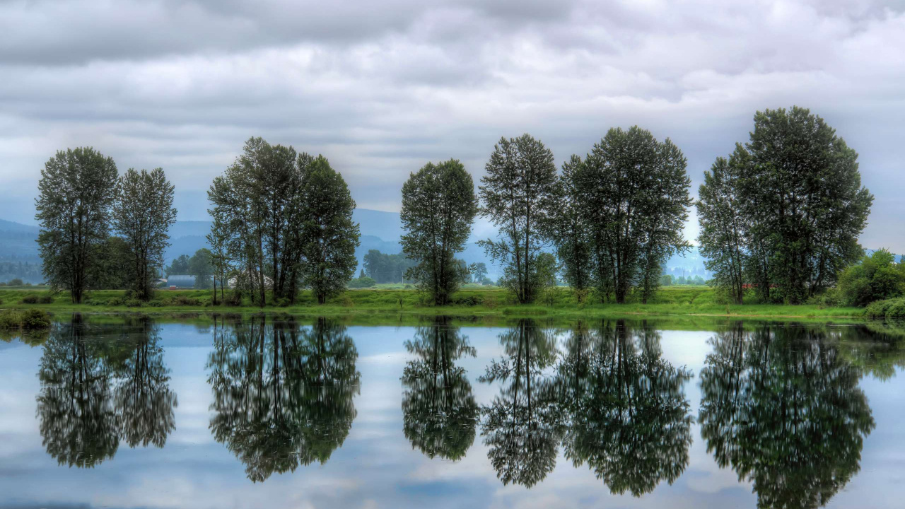 Green Trees Beside Body of Water Under Cloudy Sky During Daytime. Wallpaper in 1280x720 Resolution