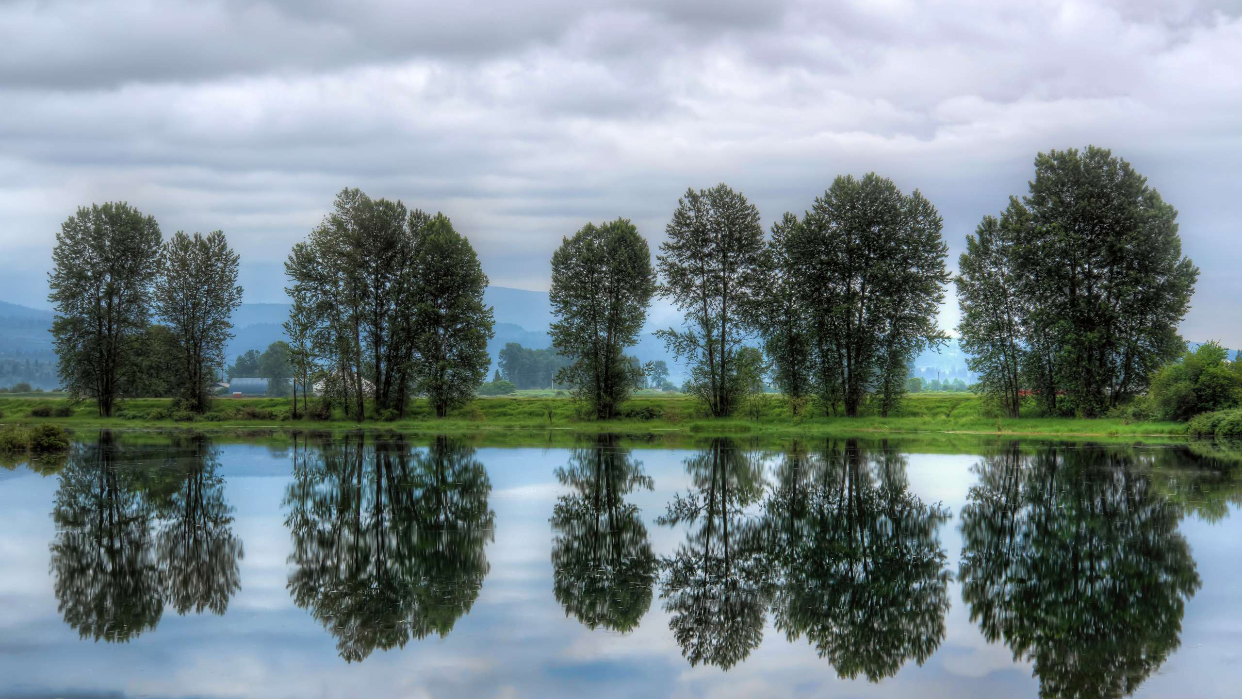 Green Trees Beside Body of Water Under Cloudy Sky During Daytime. Wallpaper in 2560x1440 Resolution