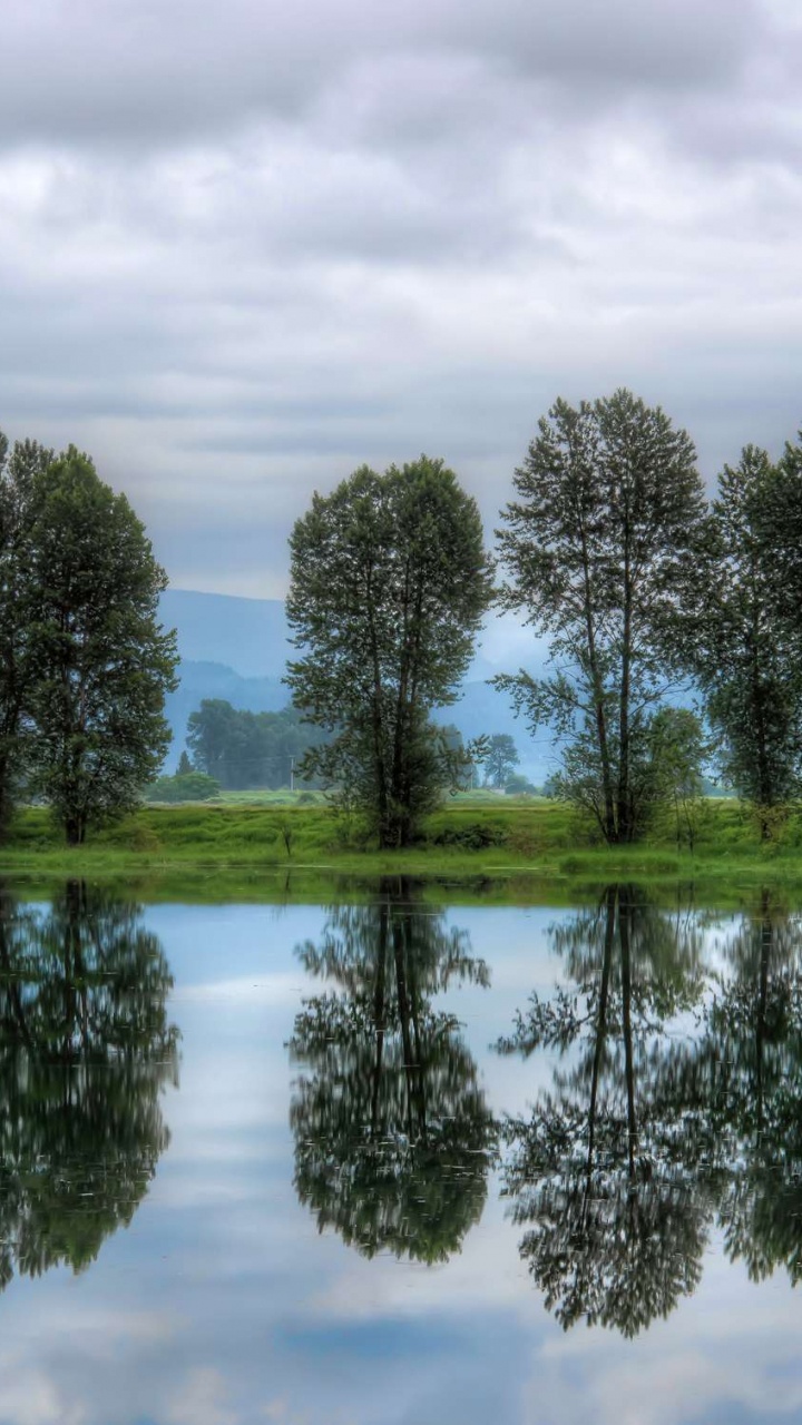 Green Trees Beside Body of Water Under Cloudy Sky During Daytime. Wallpaper in 720x1280 Resolution
