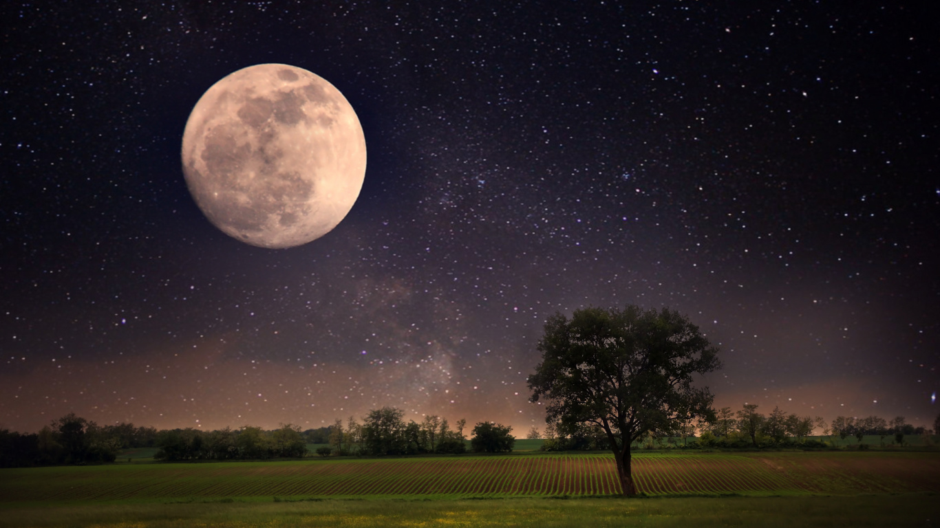 Green Grass Field With Trees Under Moon. Wallpaper in 1366x768 Resolution