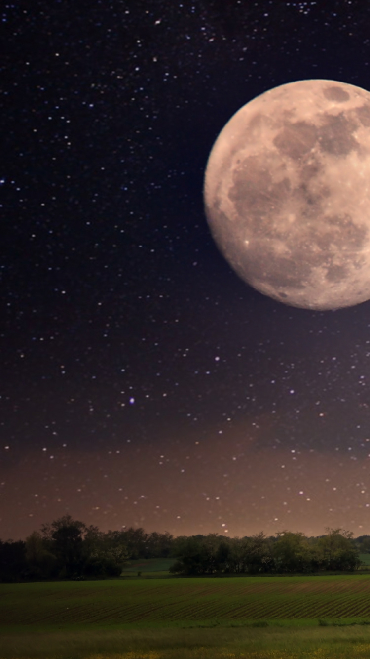 Green Grass Field With Trees Under Moon. Wallpaper in 750x1334 Resolution