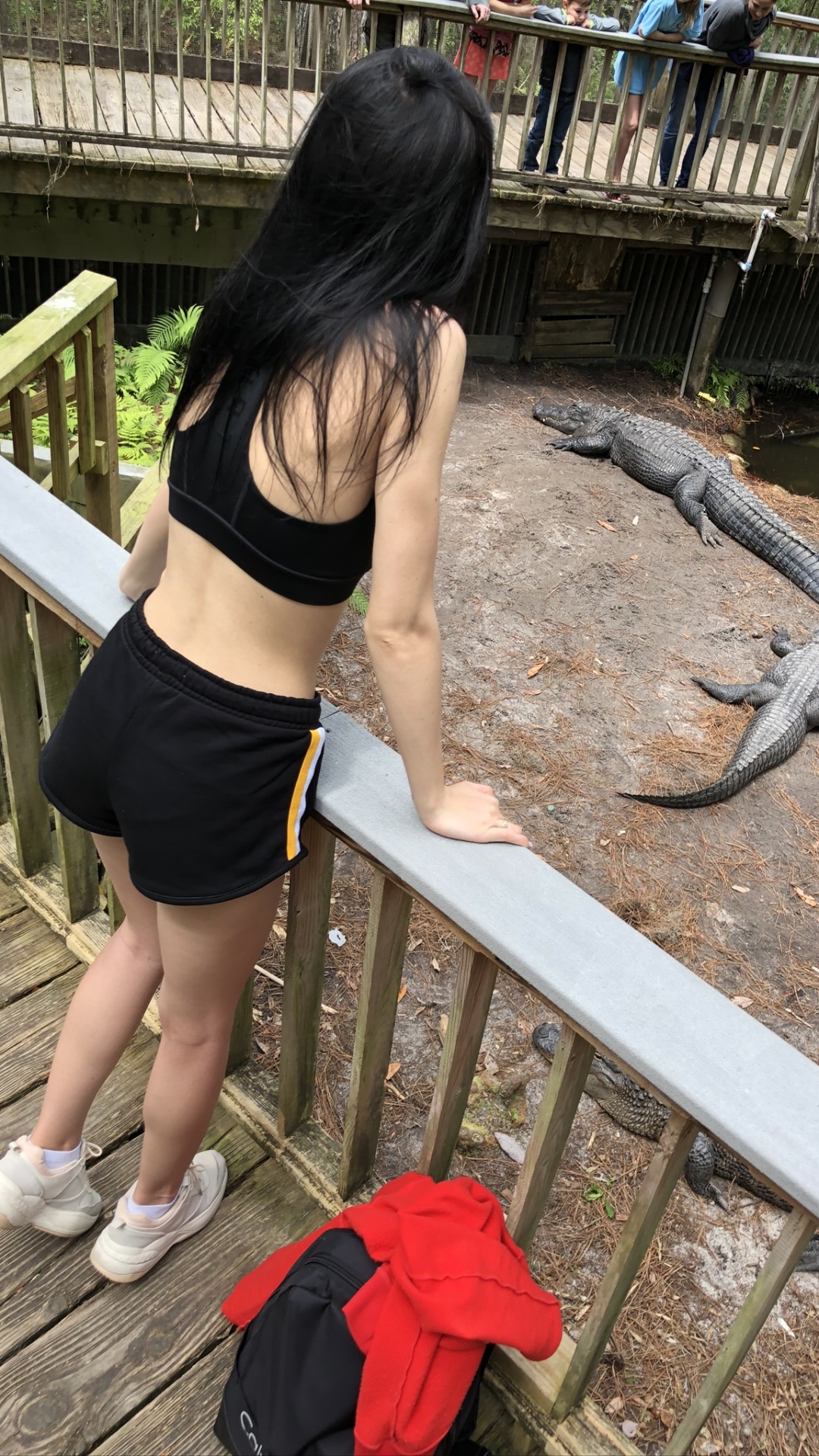 Crocodile, Clothing, Human Body, Biology, Science. Wallpaper in 1080x1920 Resolution