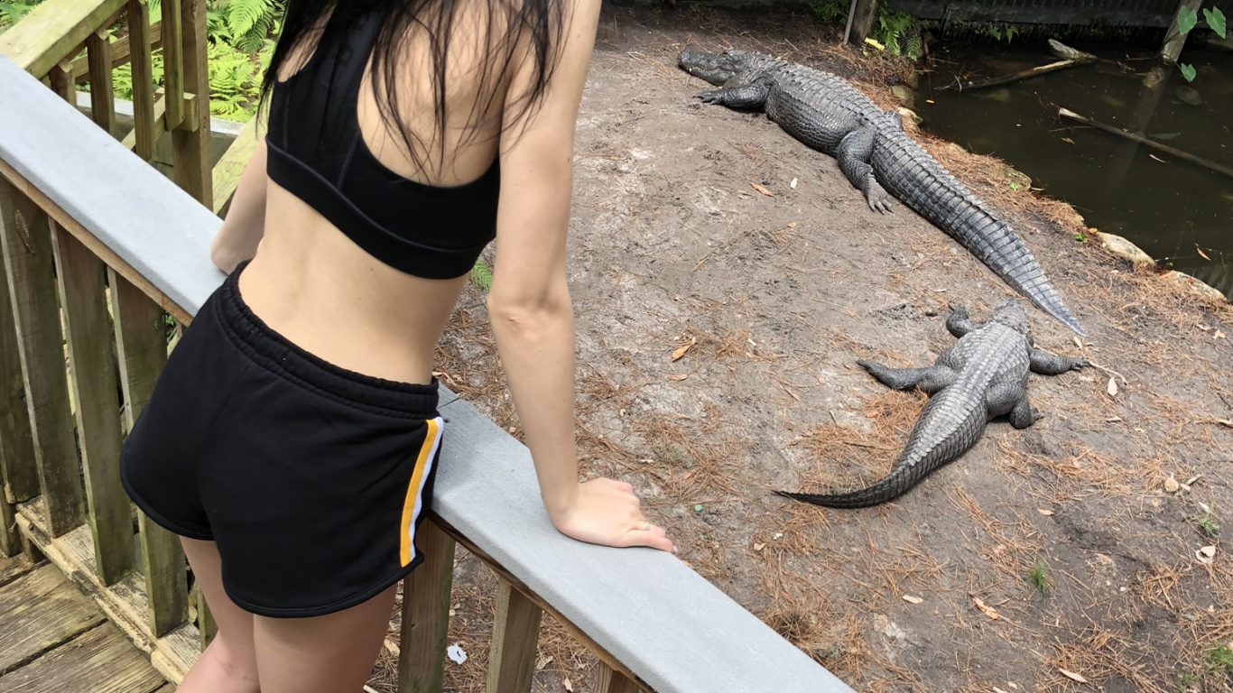 Crocodile, Clothing, Human Body, Biology, Science. Wallpaper in 1366x768 Resolution