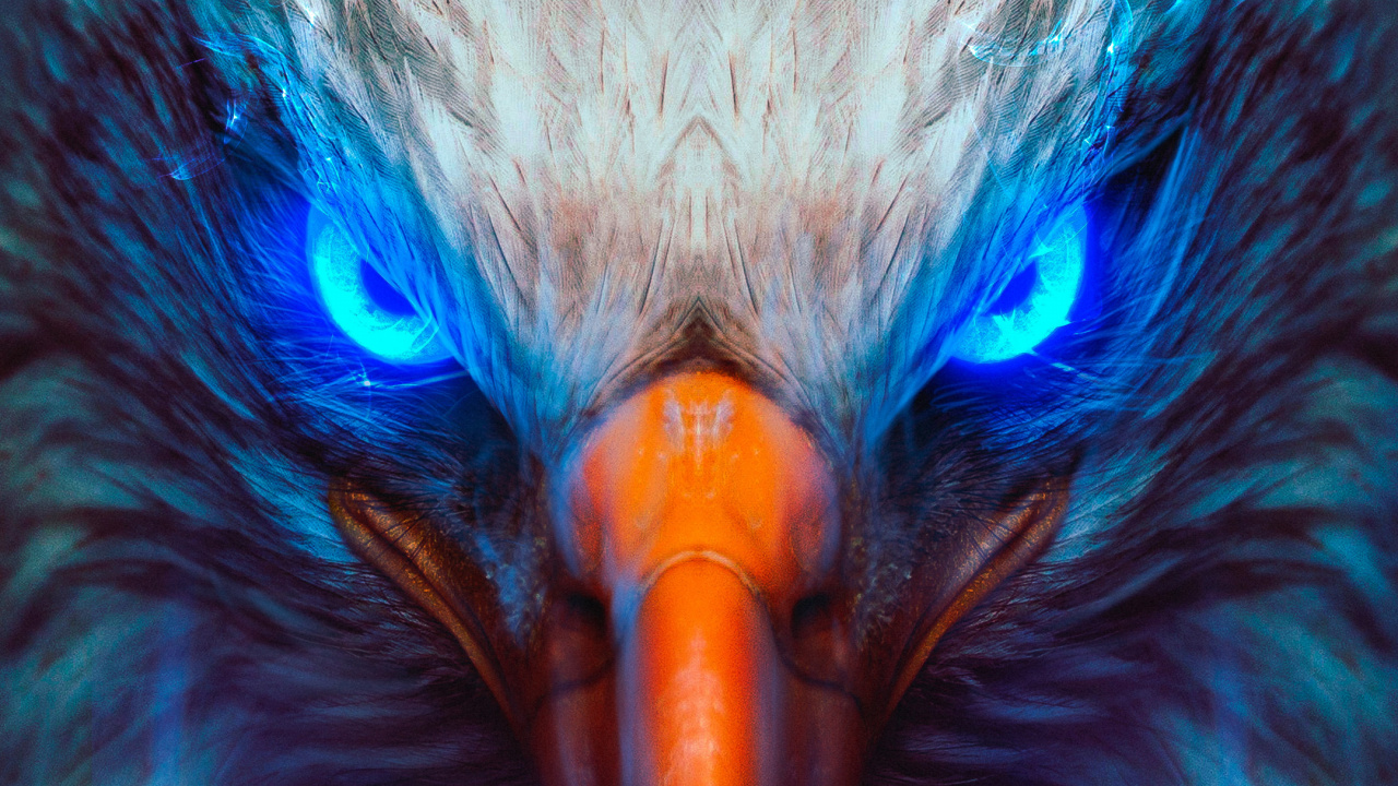 Adler, Weißkopfseeadler, Steinadler, Vogel, Pfau. Wallpaper in 1280x720 Resolution