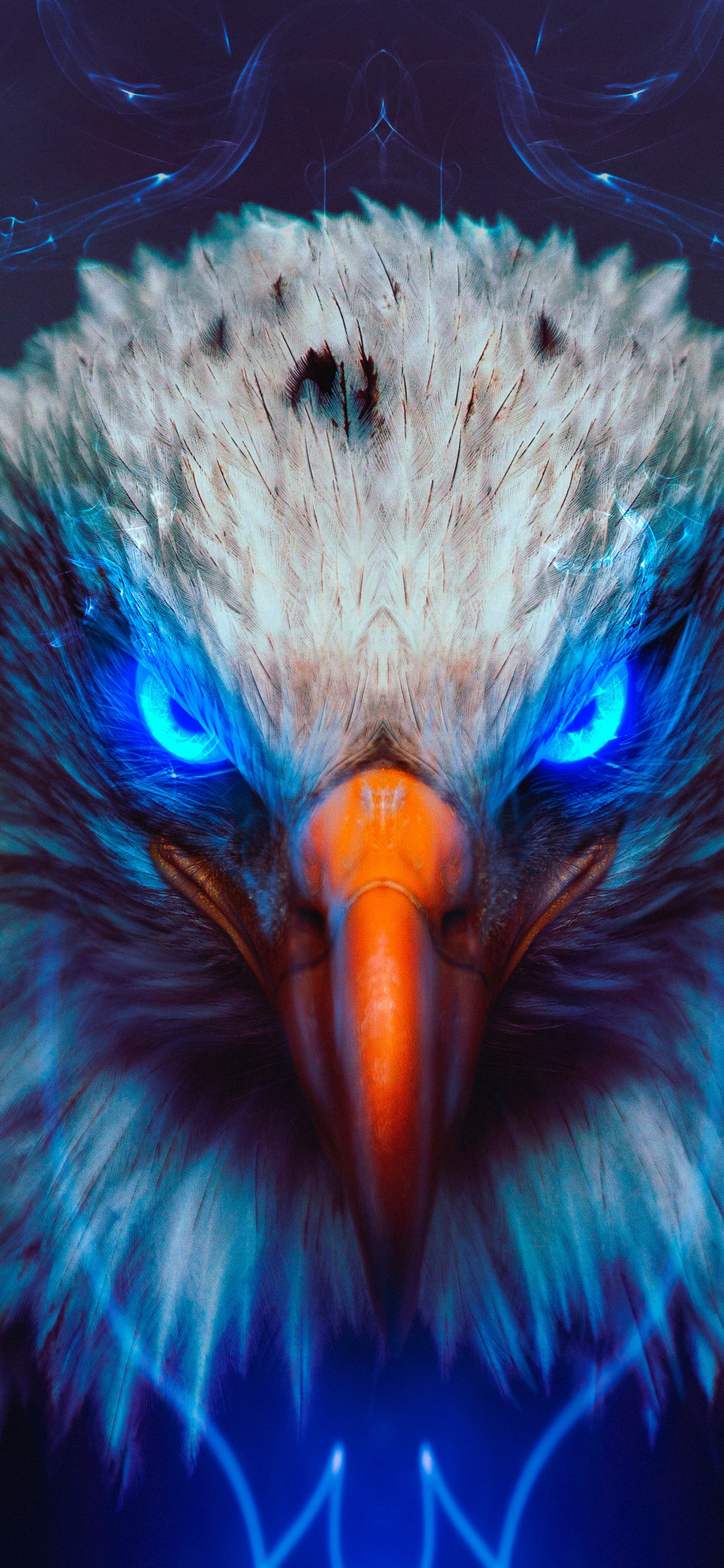 Aigle, Pygargues, Golden Eagle, Oiseau, le Paon. Wallpaper in 1242x2688 Resolution