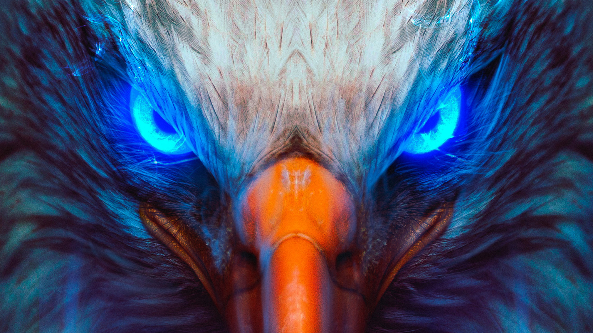 Aigle, Pygargues, Golden Eagle, Oiseau, le Paon. Wallpaper in 1920x1080 Resolution