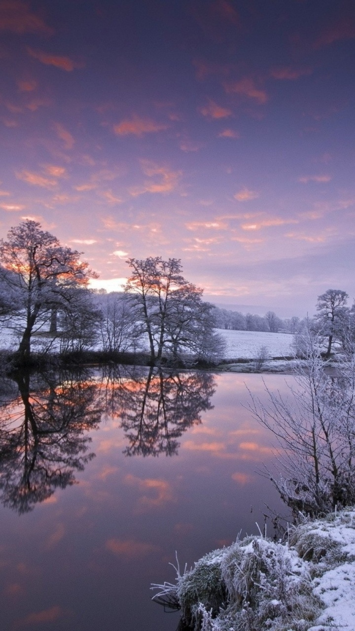 Plan D'eau Près Des Arbres Pendant la Journée. Wallpaper in 720x1280 Resolution