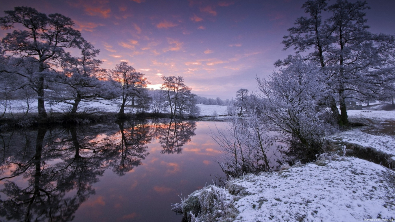 Body of Water Near Trees During Daytime. Wallpaper in 1366x768 Resolution