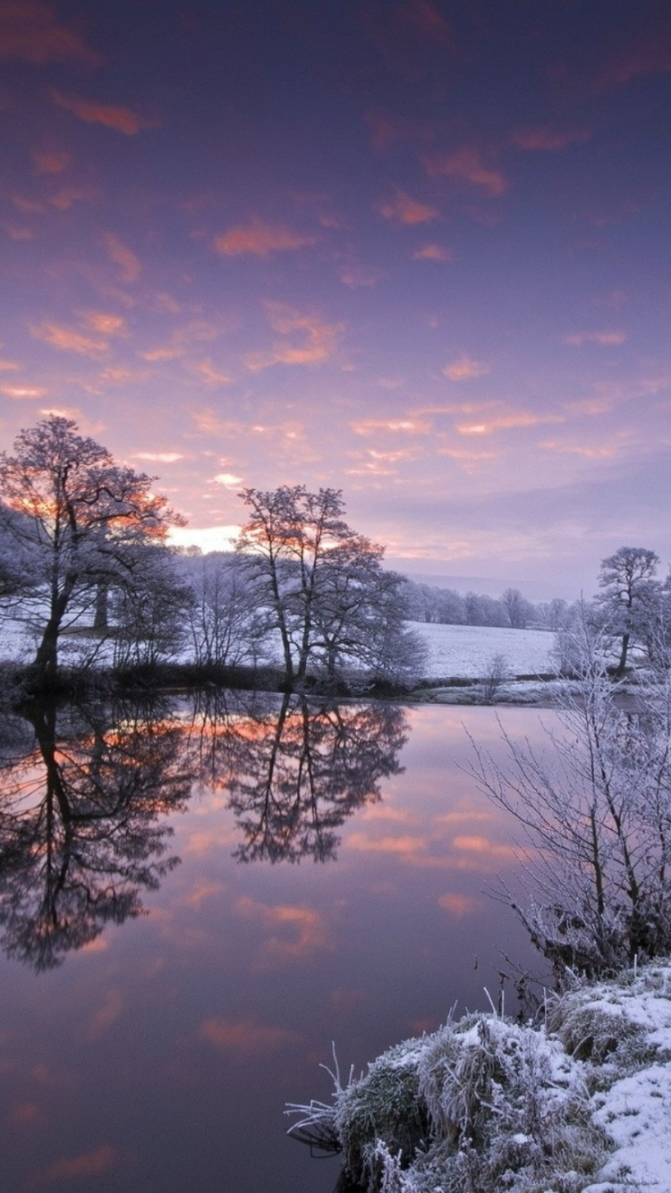 Body of Water Near Trees During Daytime. Wallpaper in 750x1334 Resolution