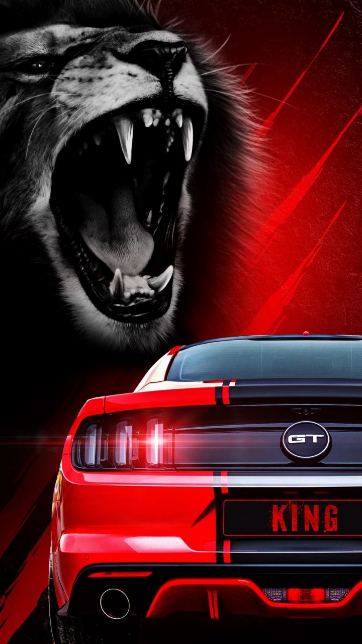 Cars, Sports Car, Volkswagen, Automotive Lighting, Hood. Wallpaper in 720x1280 Resolution