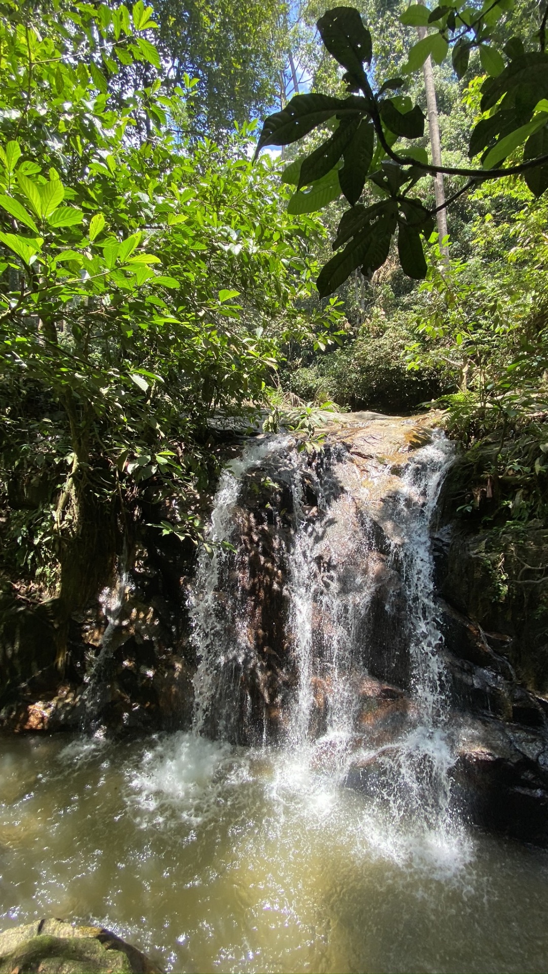 Cascada, Cuerpo de Agua, la Vegetación, Naturaleza, Los Recursos de Agua. Wallpaper in 1080x1920 Resolution