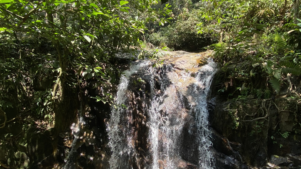 Cascada, Cuerpo de Agua, la Vegetación, Naturaleza, Los Recursos de Agua. Wallpaper in 1280x720 Resolution