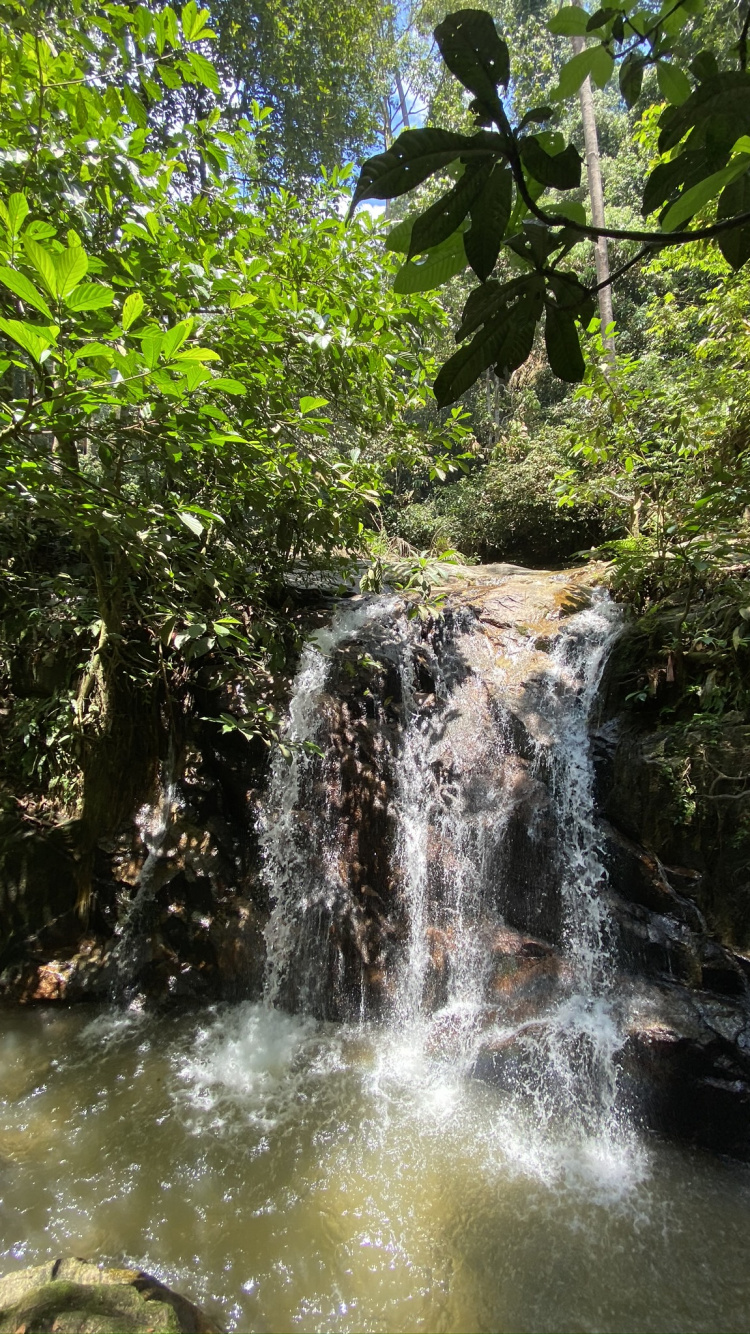 Cascada, Cuerpo de Agua, la Vegetación, Naturaleza, Los Recursos de Agua. Wallpaper in 750x1334 Resolution