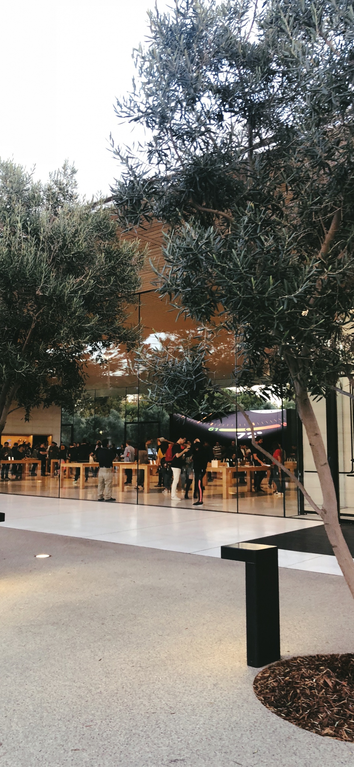 Ciencia, Biología, Contenedor de Basura. Wallpaper in 1125x2436 Resolution