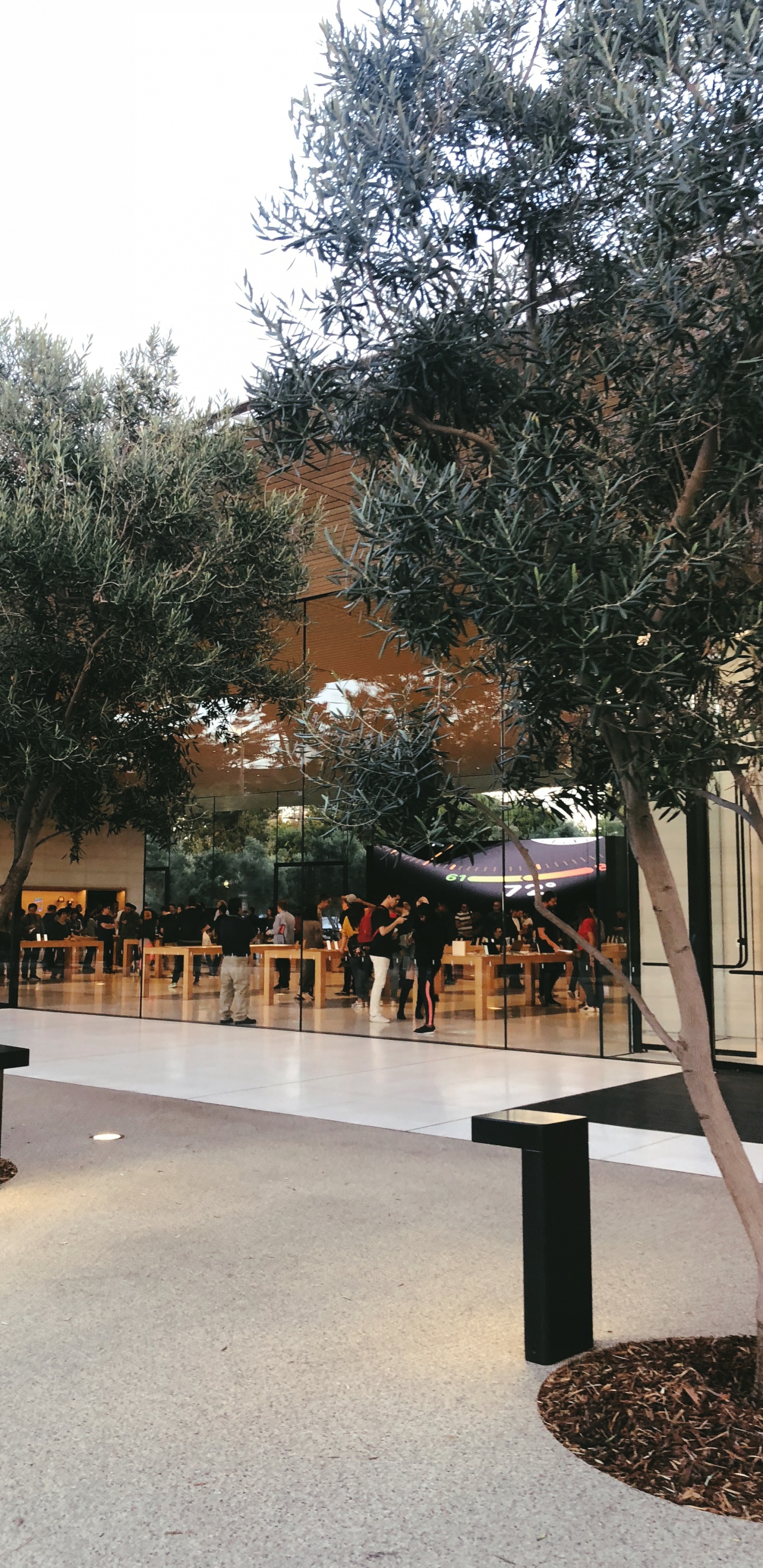 科学, 生物学 壁纸 1440x2960 允许