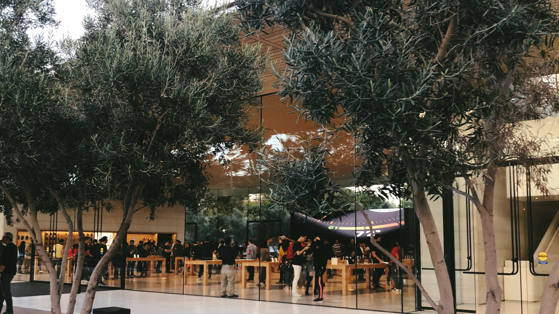 科学, 生物学 壁纸 1920x1080 允许