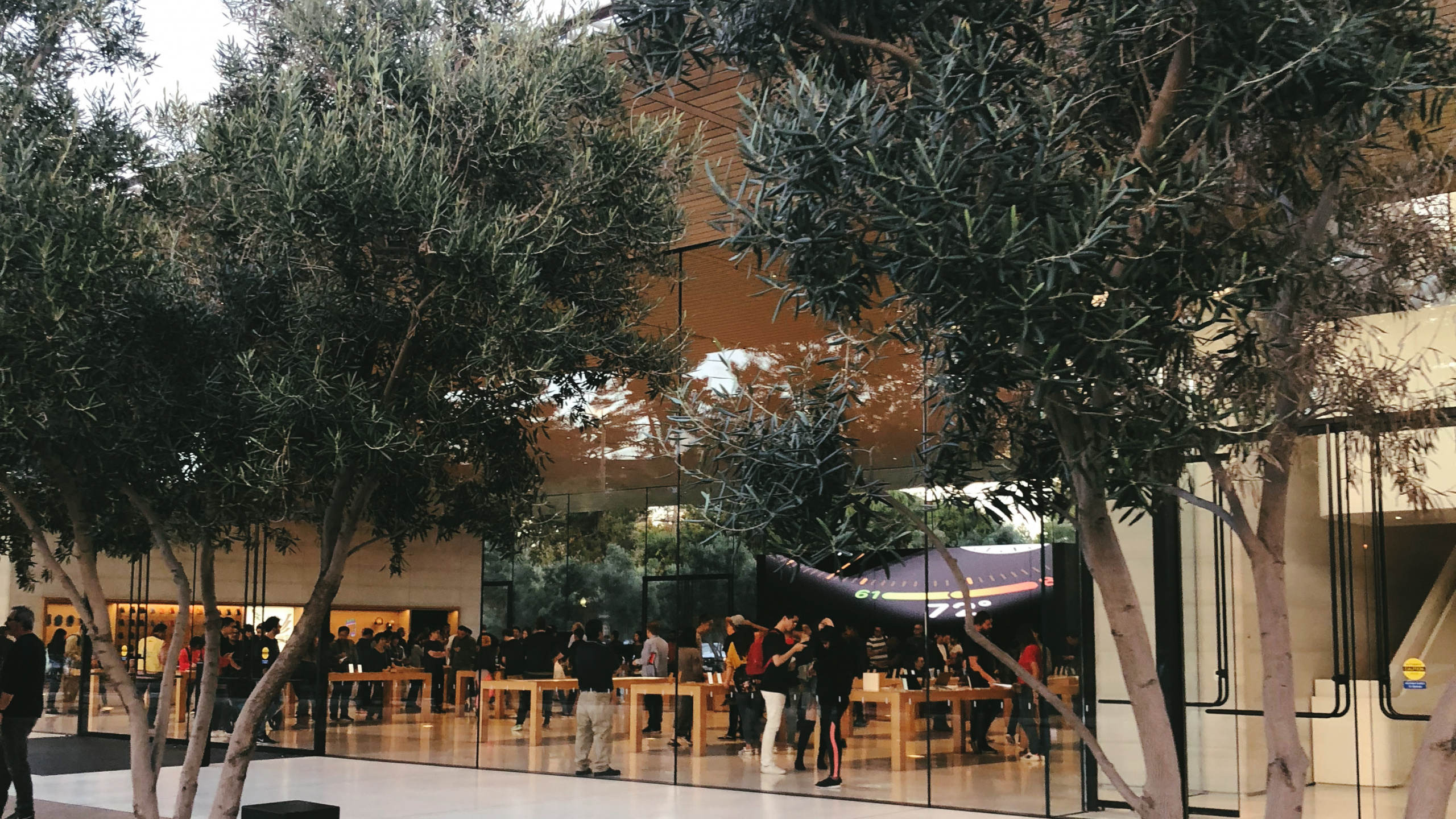 Tree, Science, Biology, Waste Container. Wallpaper in 2560x1440 Resolution