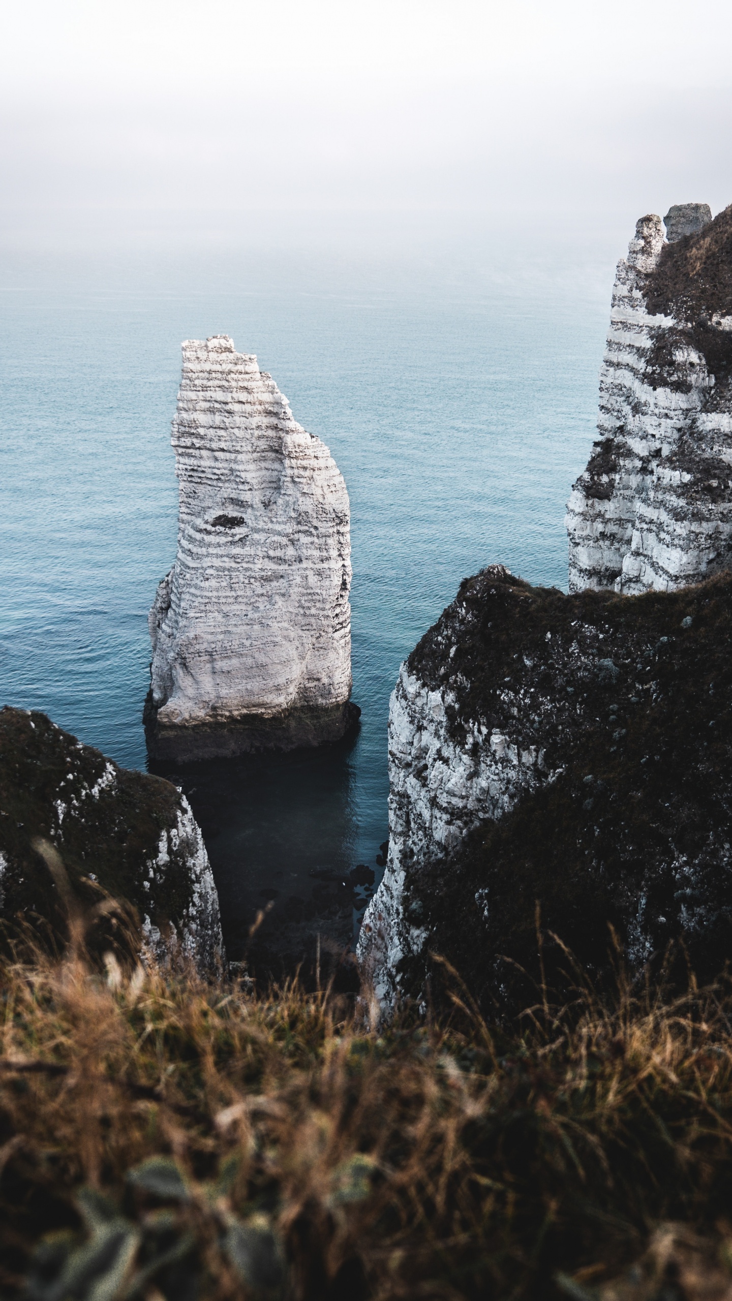 Rock, Sea, Cliff, Ocean, Water. Wallpaper in 1440x2560 Resolution