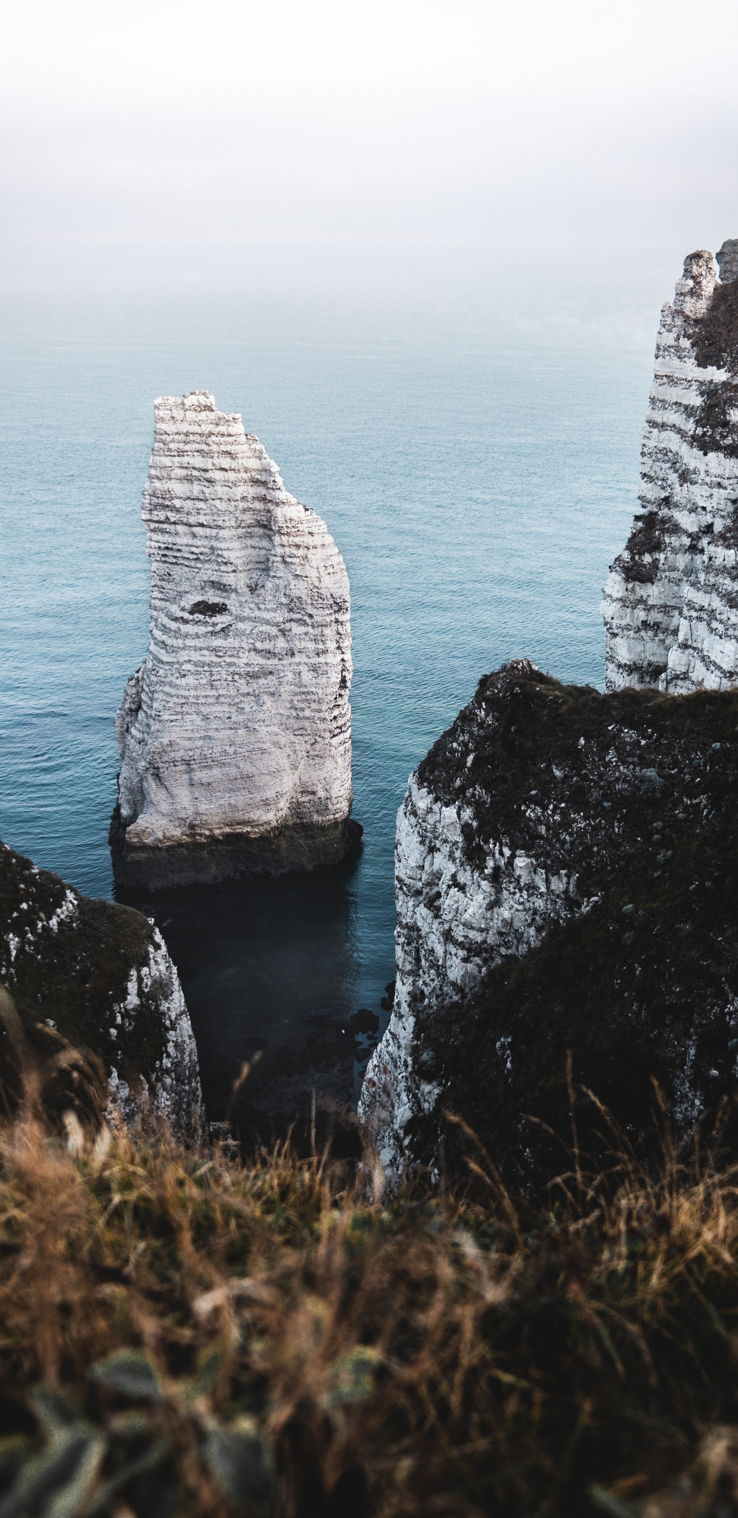 Rock, Sea, Cliff, Ocean, Water. Wallpaper in 1440x2960 Resolution