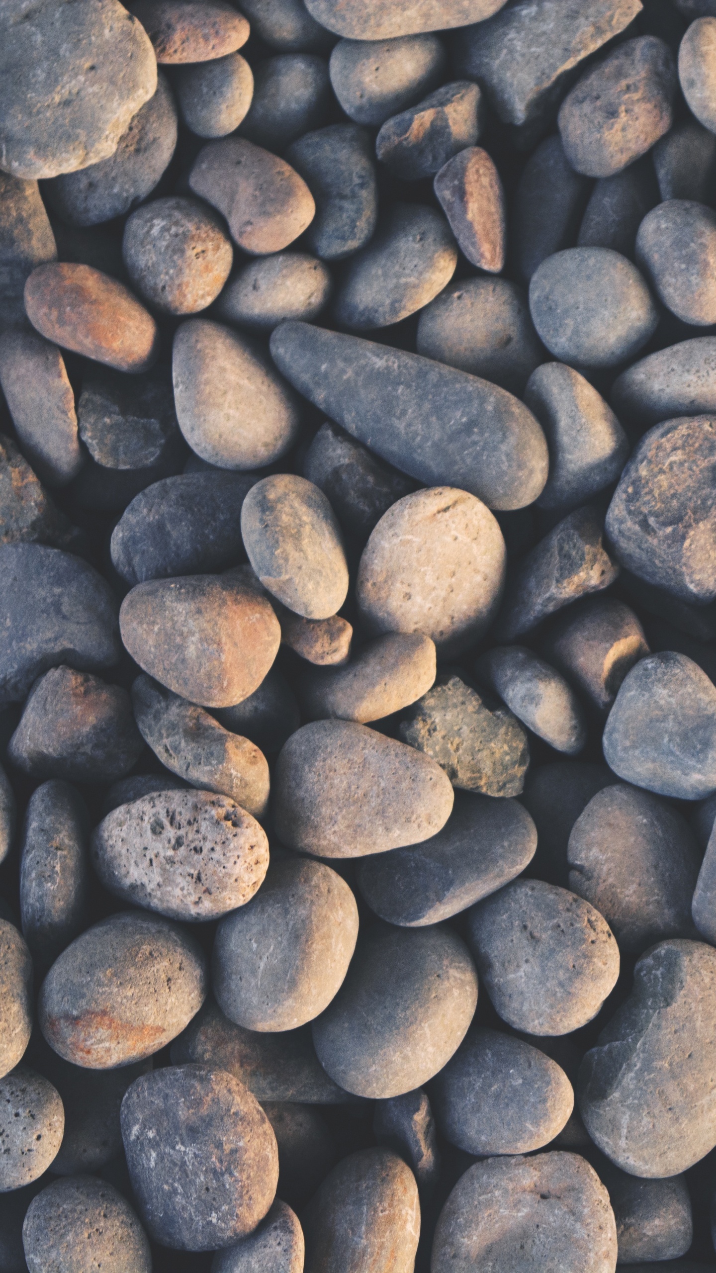Pierres Brunes et Grises Sur Sable Gris. Wallpaper in 1440x2560 Resolution