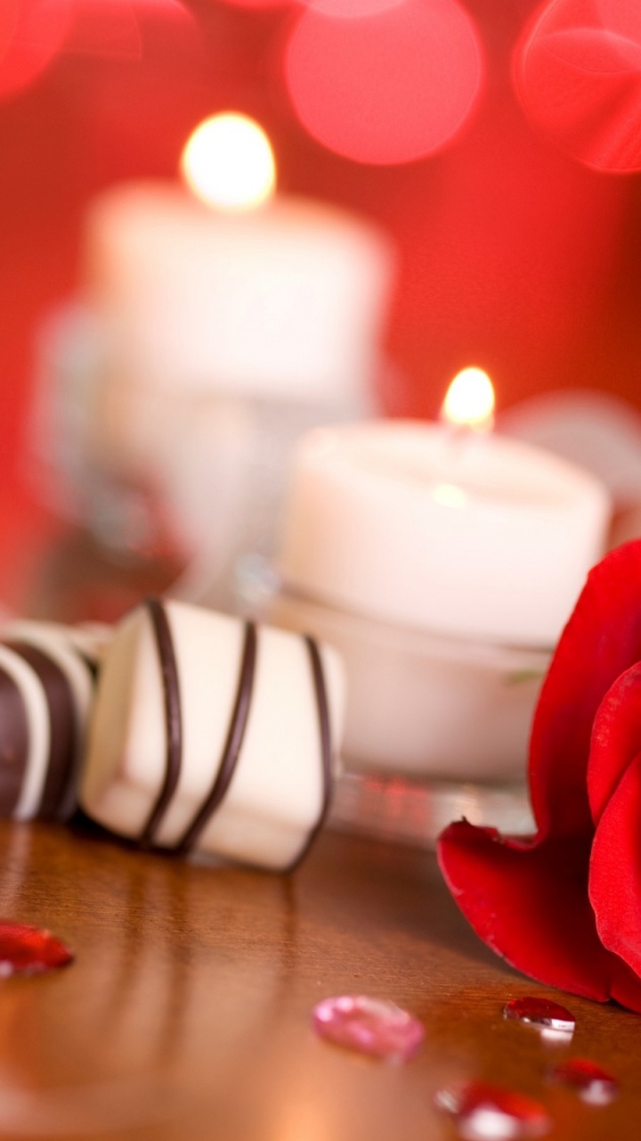 Anniversaire de Mariage, Anniversaire, Pétale, Roses, Les Roses de Jardin. Wallpaper in 720x1280 Resolution